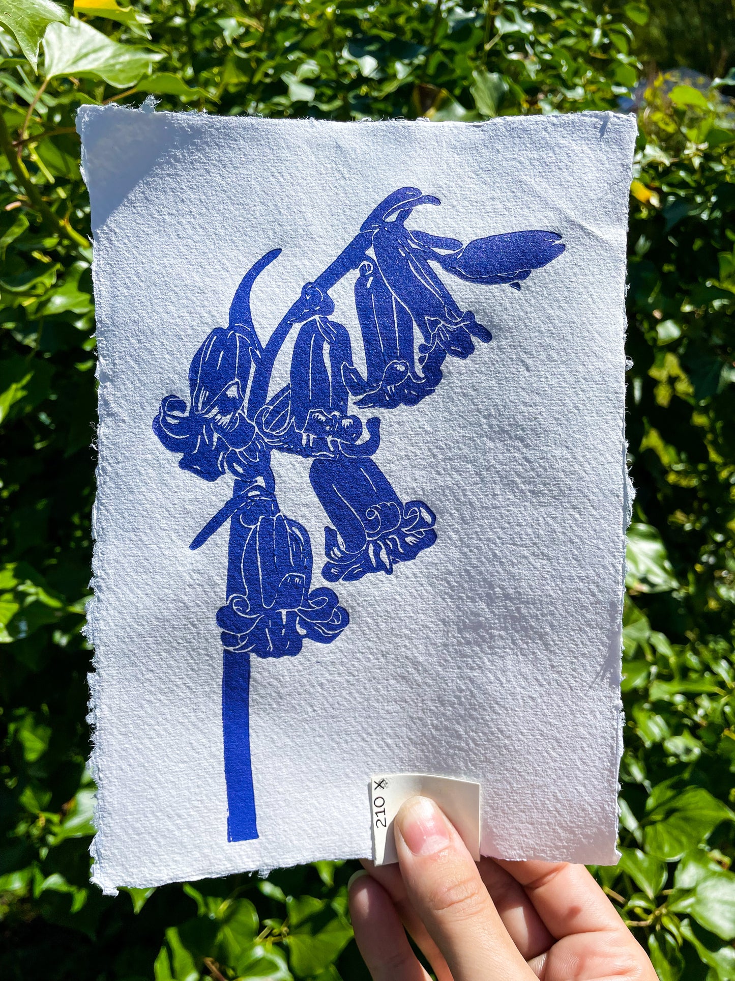 Blooms in Print Workshop